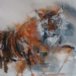 Tiger. Ink and wash on paper. Private collection.