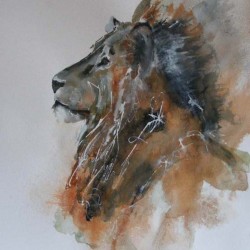 Lion. Ink and wash on paper. Private collection.