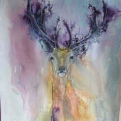 Stag. Ink and wash on paper. Consigned to <a href="http://www.miltonart.com/" target="_blank">Milton Art Gallery, Crathes</a>.