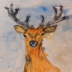 Stag 2. Ink and wash on paper. Unmounted 22 X 16 inches. <a href="https://fiknox.com//contact/" target="_self">For sale - £45</a>