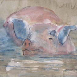 Happy pig. Mixed media on paper. Private collection.
