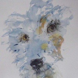 Wee dog. Watercolour on paper. Private collection.