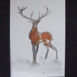 Stag. Ink and wash on paper. Private collection.