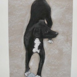 Pastel on paper.