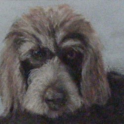 Pastel on paper.